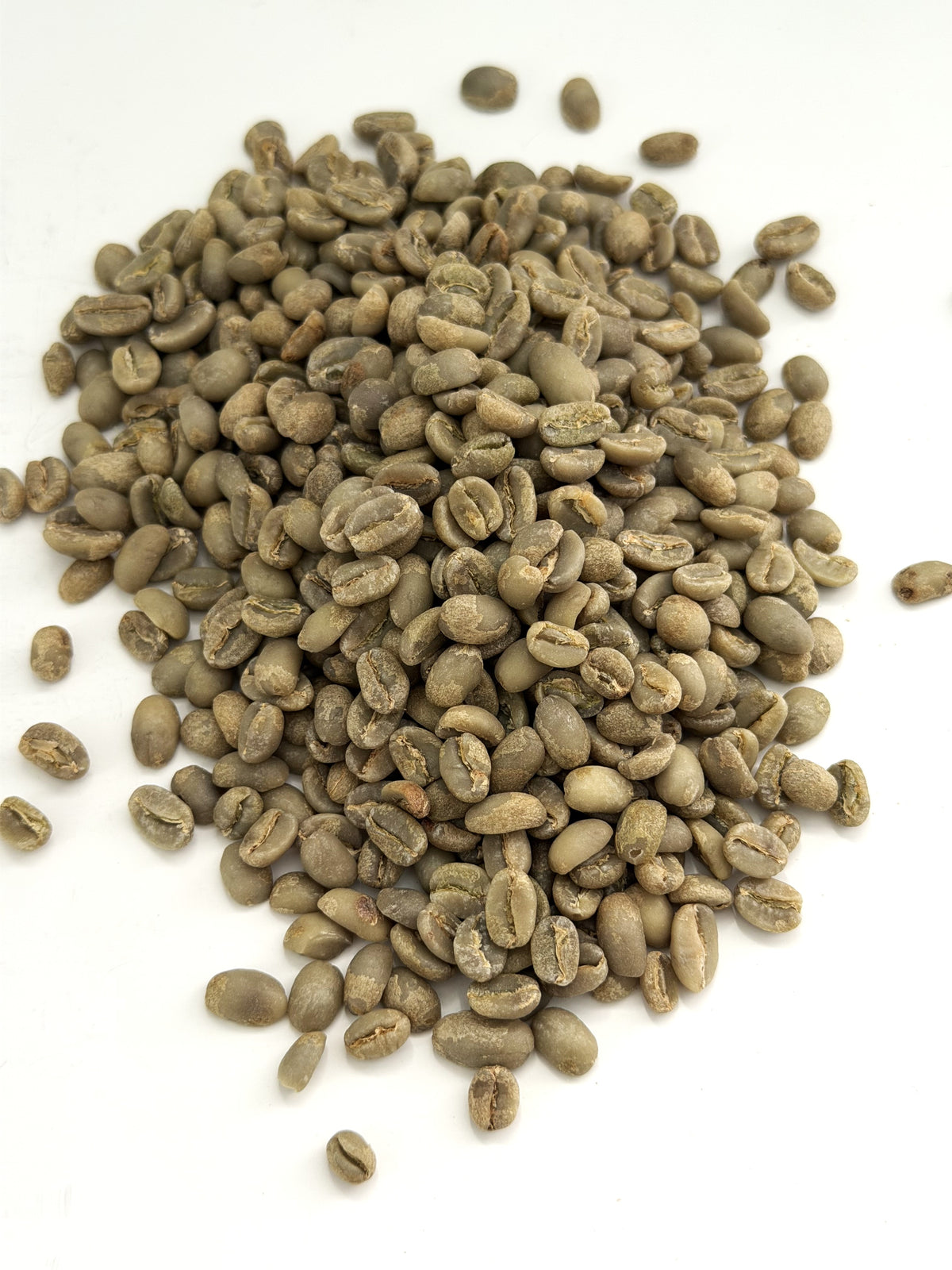 Ethiopia Organic Guji Uraga G2 Washed 2025