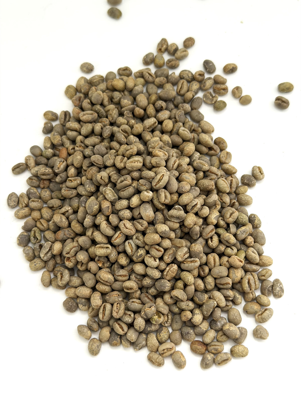 Brazil Jazblu Peaberry NY 2/3 Scr 10/11 2026