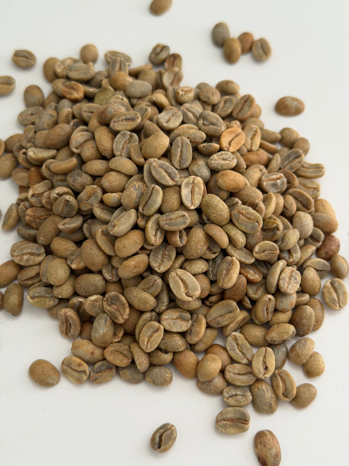 Nicaragua La Bastilla Geisha Natural SHG EP 2026