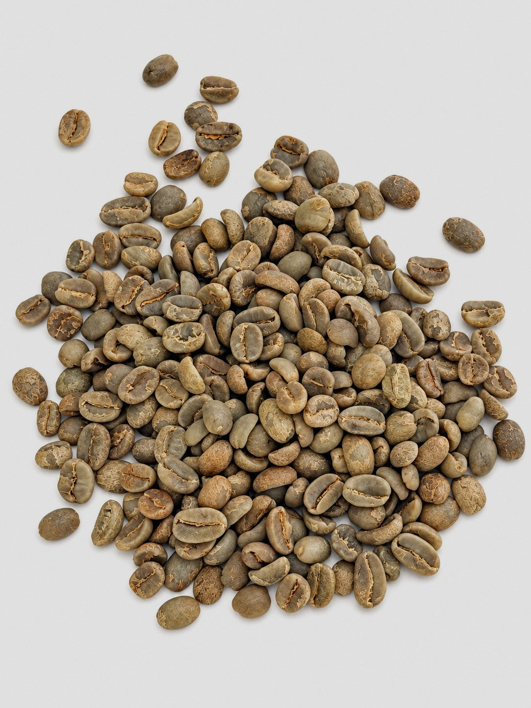 Guatemala La Morena Huehuetenango SHB EP 2026